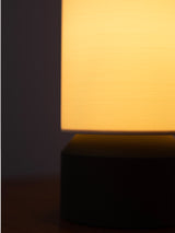 DS-L01