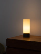 DS-L01